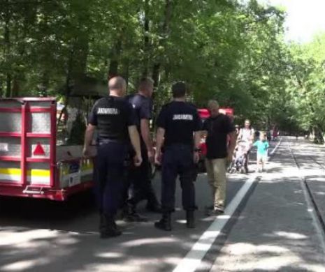 Povestea tulburatoare a baietelului disparut de la ZOO din Targu Mures. Cum a fost gasit in urma cu putin timp
