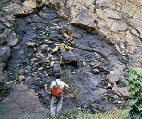 Primul reactor nuclear al omenirii are o vechime de peste DOUĂ MILIARDE de ani