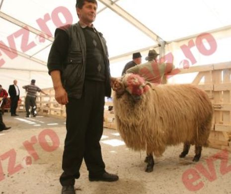 Producătorii români și supermarketurile, obligați să trăiască sau să moară împreună