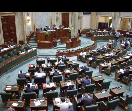Victoria PNL după locale: Senatul a adoptat proiectul care prevede alegerea primarilor în două tururi