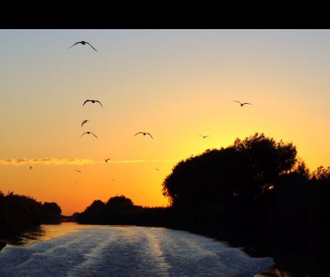 Ce s-a ales de IMPERIUL lui SOV din Deltă. Începutul DECLINULUI