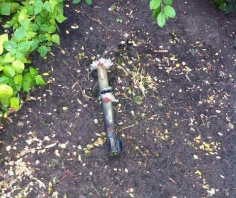 Culegea castravetii in gradina, cand a auzit un zgomot ciudat. Ce a gasit o femeie din Moldova cand s-a dus sa vada ce i-a aterizat in curte. FOTO