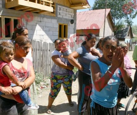 După ce au încins o întreagă țigănie la Curtea de Apel Pitești. Toți cei 37 de țigani din Berevoești, arestați pentru sclavagism, rămân în continuare la beci