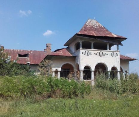 Istoria României lăsată în paragină, VÂNDUTĂ pe OLX. Conacul uneia dintre cele mai cunoscute FAMILII din țara noastră, cumpărat pe internet pentru 35.000 de euro