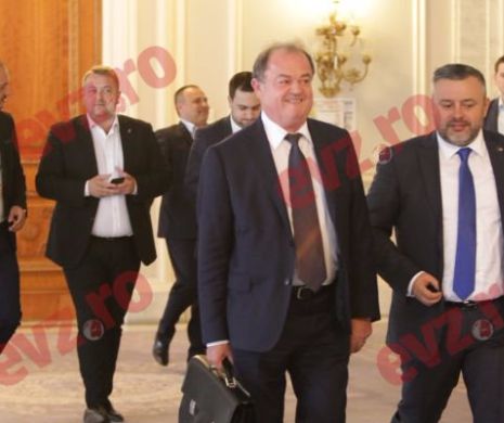 Jumătate din filialele PNL nu şi-au plătit datoriile. CE măsuri va lua conducerea partidului