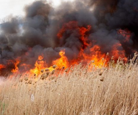 Un INCENDIU puternic a izbucnit la NĂVODARI