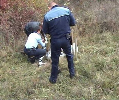 Victima din Buneşti VIOLATĂ şi BĂTUTĂ fără milă. Detalii ies la IVEALĂ după CRIMA care a ÎNGROZIT întreaga ţară