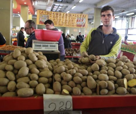 BUCURIE pentru comercianţi: VÂNZĂRILE magazinelor au crescut substanţial în primele şase luni