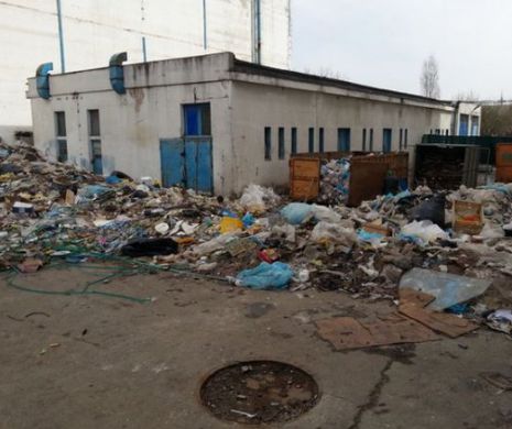 Continent Marine şi ATENTATUL LA SIGURANŢA CETĂŢENILOR. Activităţi incredibile în Sectorul 6