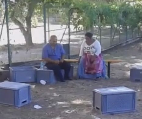 IMAGINILE cu cei doi ROMÂNI care au FURAT mai multe bunuri din casele DĂRÂMATE de cutremurul din Amatrice fac ÎNCONJURUL LUMII | VIDEO