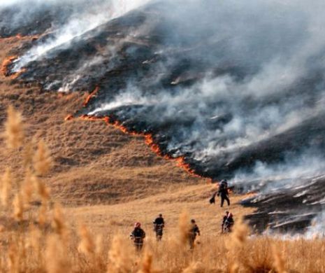 Incendiu uriaș de pădure lângă o mănătire de maici la Constanța