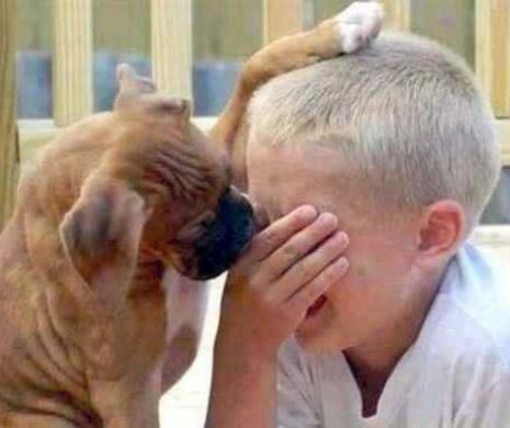 LA VITA E BELLA. Zeci de imagini care TE FAC SĂ ZÂMBEŞTI şi îţi SCHIMBĂ STAREA chiar dacă AI AVUT O ZI PROASTĂ l Foto galerie superbă