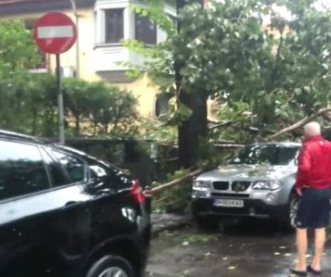 POTOP în CAPITALĂ! Locuințe inundate, copaci căzuți pe carosabil și pe autoturisme, străzi fără curent și acoperișuri smulse. Oamenii au cerut, disperați, intervenția autorităților