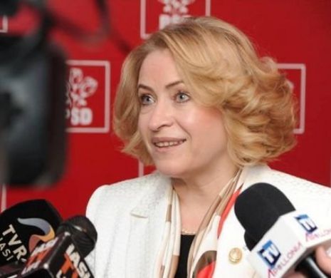 Programe pentru părinți organizate de deputatul PSD Cristina Nichita