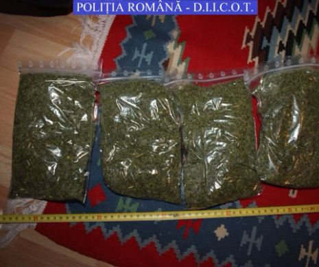 Rețea de trafic de droguri, de pe litoral, destructurată de DIICOT Constanța