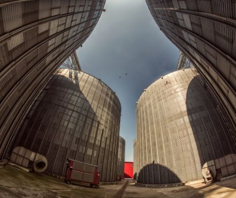 A fost deschis CEL MAI MARE depozit de cereale din România