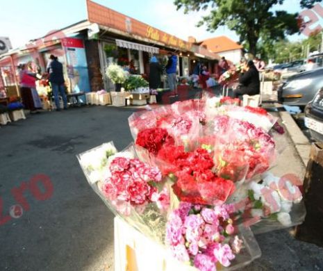 Au rupt-o la fugă, lăsând în urma lor o tonă de flori