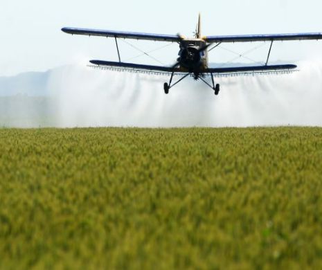 China va investi 450 de MILIARDE de dolari în agricultură, până în 2020