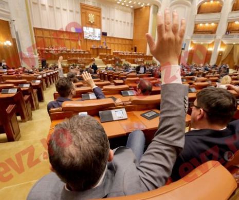 Cine va avea dreptul să-și angajeze CONSILIERI pentru DIASPORA