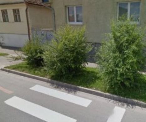 Dorel LOVEŞTE din nou! Trecere de pietoni ÎMPĂDURITĂ în buricul unui oraş din România | VIDEO