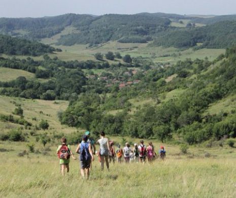 După 50 de ani, acest ANIMAL FABULOS s-a “născut” și în România. Este o PREMIERĂ pentru cercetătorii români
