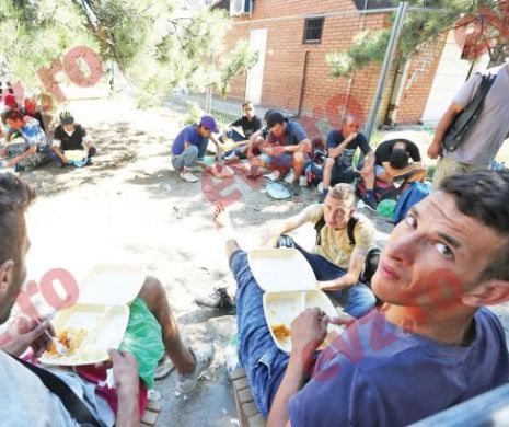 Incursiune într-o tabără de migranți.Refugiații fug de România ca dracu’ de tămâie: „Dacă te prind, te bagă la pușcărie șase luni”
