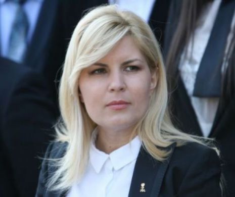 Ioana Băsescu, la DNA