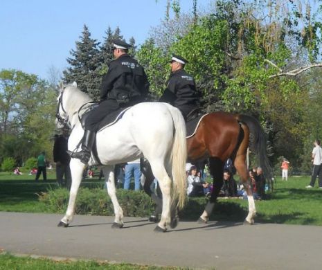 Sumă URIAŞĂ cheltuită din banii bucureştenilor. Cu cât erau plătiţi anual angajaţii unei firme care jucau rolul de poliţişti locali