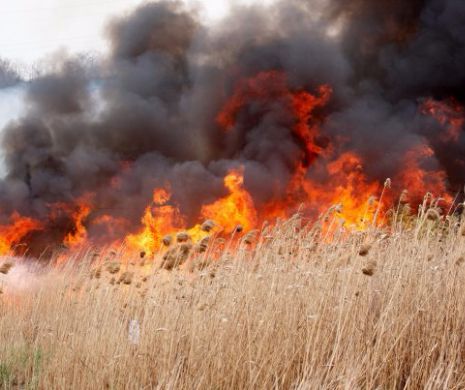Trafic RESTRICŢIONAT pe AUTOSTRADA SOARELUI, după ce un INCENDIU de VEGETAŢIE a izbucnit în zonă