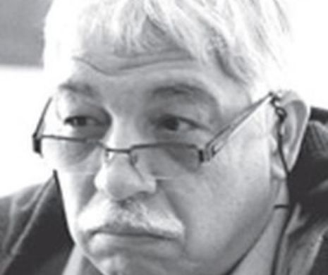 Acatriste și pontice | ALICE ÎN ȚARA NETERMINATĂ