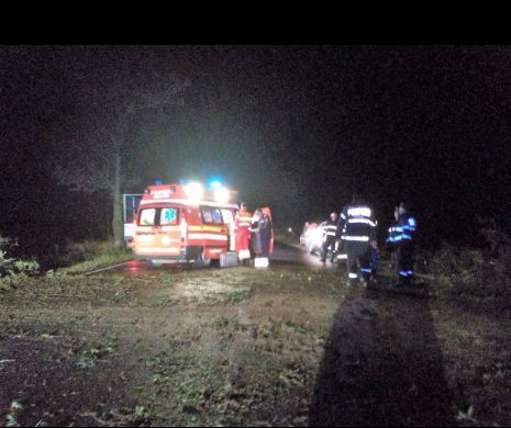Bărbat strivit de un pom, la Hârșova. Porturi închise din cauza vântului puternic