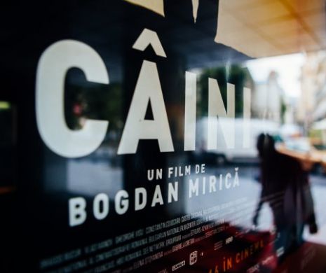 „Câinii Roșii” de la Dinamo merg la filmul „Câini”
