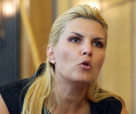Elena UDREA îl susţine pe TĂRICEANU în privinţa ignorării cererilor DNA pe timpul campaniei: "Se încearcă OPRIREA unor candidaţi"