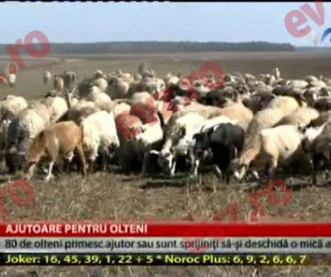 Franţa oferă oltenilor ajutor financiar dacă se întorc acasă