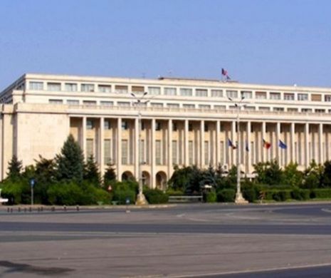 NEREGULI LA GUVERN în ceea ce priveşte LEGISLAŢIA MUNCII: fără vechime şi FĂRĂ ŞOMAJ. DETALII de ultimă oră despre SITUAŢIA INCREDIBILĂ de la Palatul Victoria