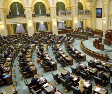 PLAGIATELE, pe masa senatorilor. Ce PROIECT IMPORTANT va fi discutat astăzi