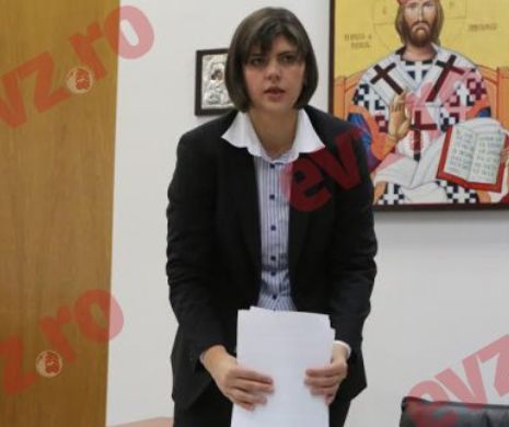 Plagiatul care a întors țara pe dos