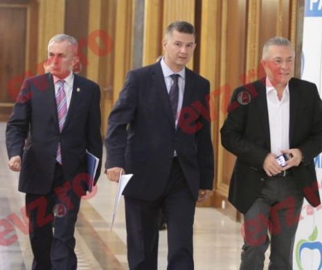 PMP a început antrenamentele pentru alegeri