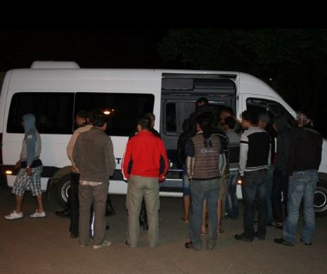 Poliţiştii de frontieră din Timiş au REŢINUT 17 MIGRANŢI care încercau să treacă ILEGAL graniţa