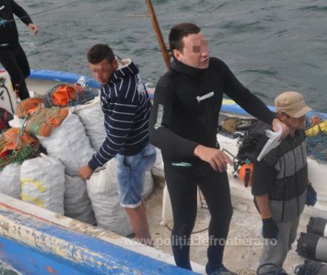 Rapană confiscată de poliţiştii de frontieră din cadrul Gărzii de Coastă