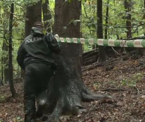Român MORT în Slovacia într-un accident aviatic. Cauzele accidentului MISTERIOS sunt anchetate de poliție