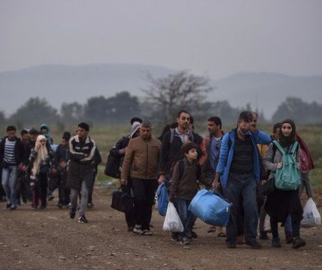 39 de REFUGIAŢI au fost găsiţi într-o PĂDURE din România