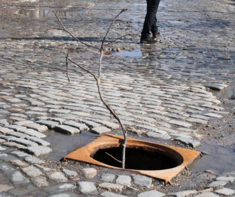 A CĂZUT ÎNTR-UN CANAL fără capac la 1 Decembrie ŞI I S-A SCHIMBAT VIAŢA. După zeci de zile de spitalizare şi 5 ANI DE PROCESE, a urmat şi  LOVITURA DATĂ AUTORITĂŢILOR
