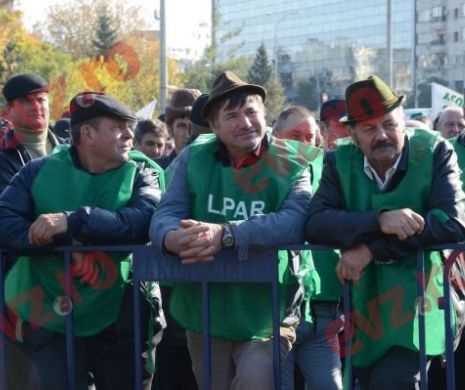 Alegeri parlamentare 2016. Cum vor partidele să lucreze pământul țării