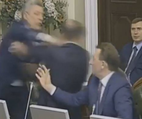 BĂTAIE CRUNTĂ în plenul Senatului! Doi PARLAMENTARI şi-au împărţit PUMNI şi şi-au aruncat VORBE GRELE | VIDEO