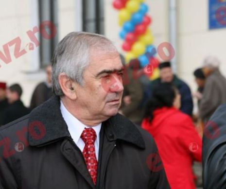 Ce i-a trecut prin cap unui primar PSD: Brad de 100.000 de euro la Târgu Jiu