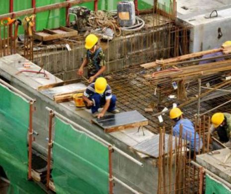 CNP: Agricultura şi construcţiile pierd din contribuţia adusă la creşterea economică a României