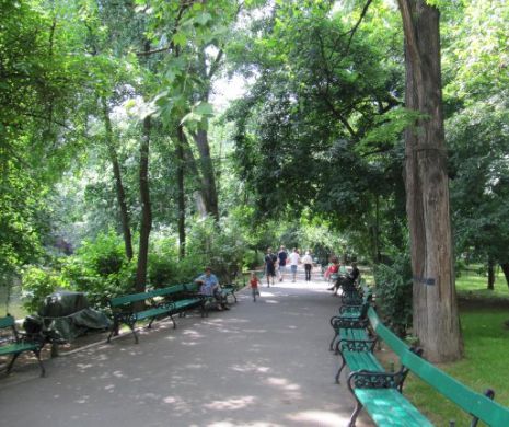 DOI DENATURAȚI cu apucături BOLNAVE au violat un tânăr pe banca unui PARC.
