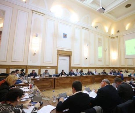 EXCLUSIV. Serdean: ”Primăria Timișoara favorizează mica și marea corupție”. Funcținarii publici pârâți în grup la DNA