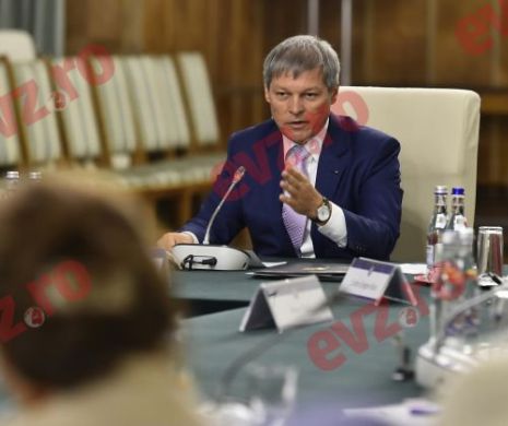 Guvern: Servicii GRATUITE de PAZĂ pentru proprietarii de PĂDURI